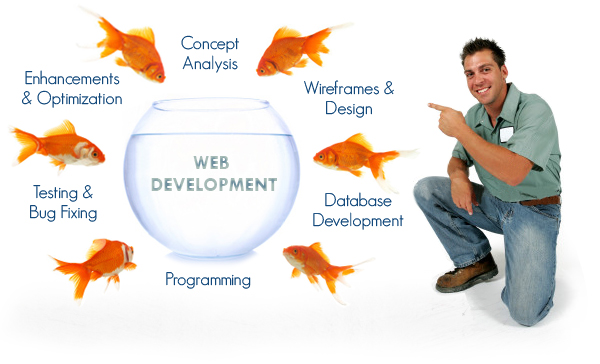 Web Developer Jakarta Media Agency