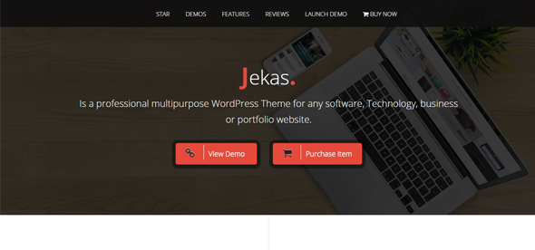 Web Developer WordPress Themes